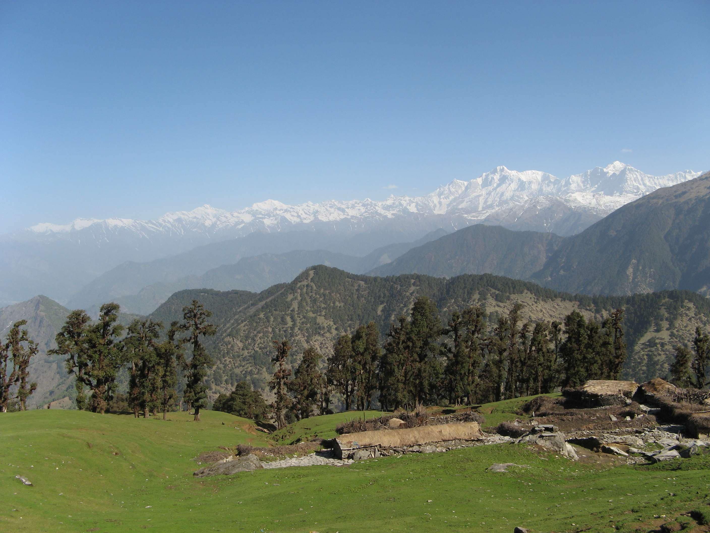 Chopta Tour Package
